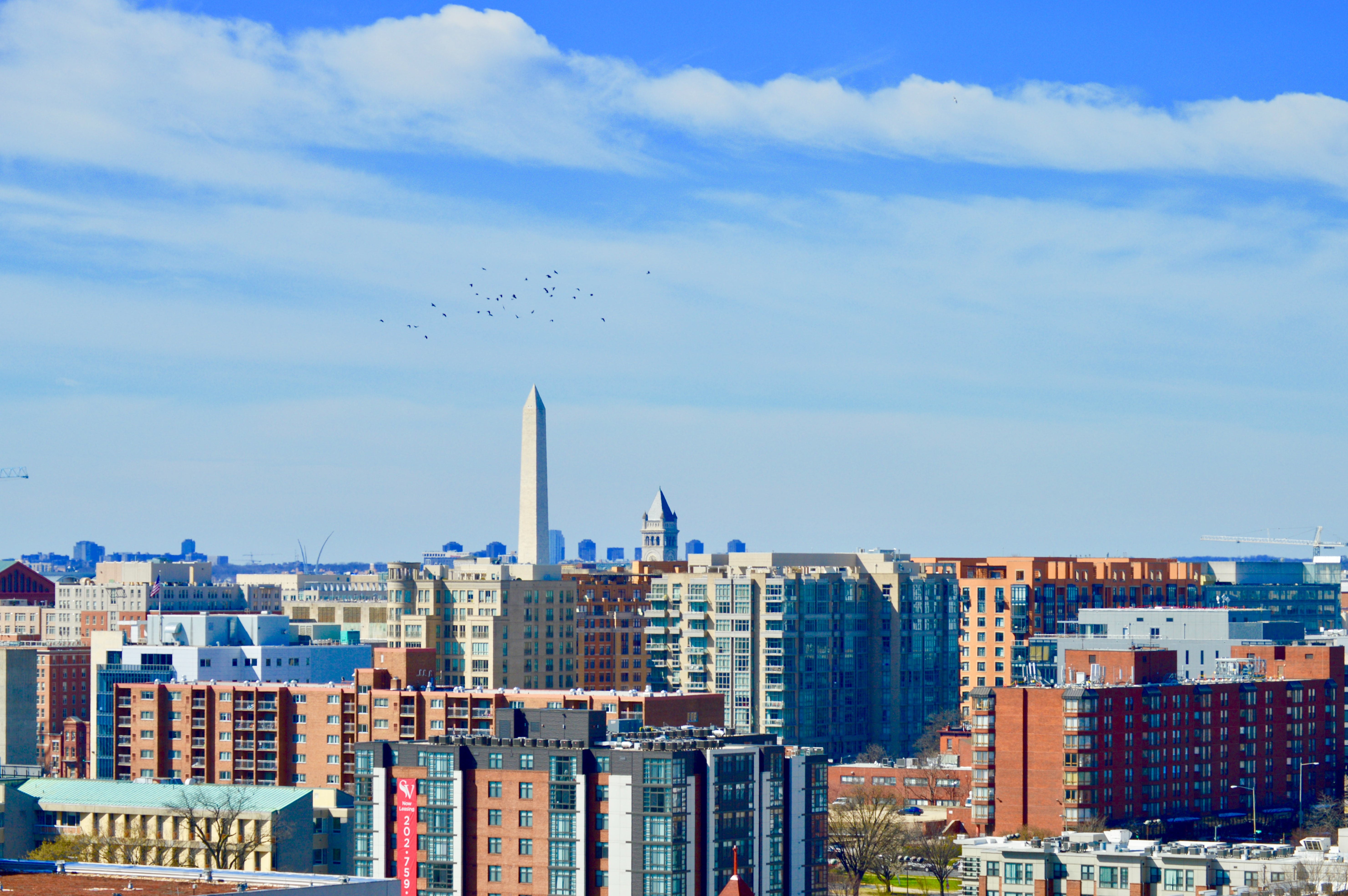 Rooftop View of DC buildings 