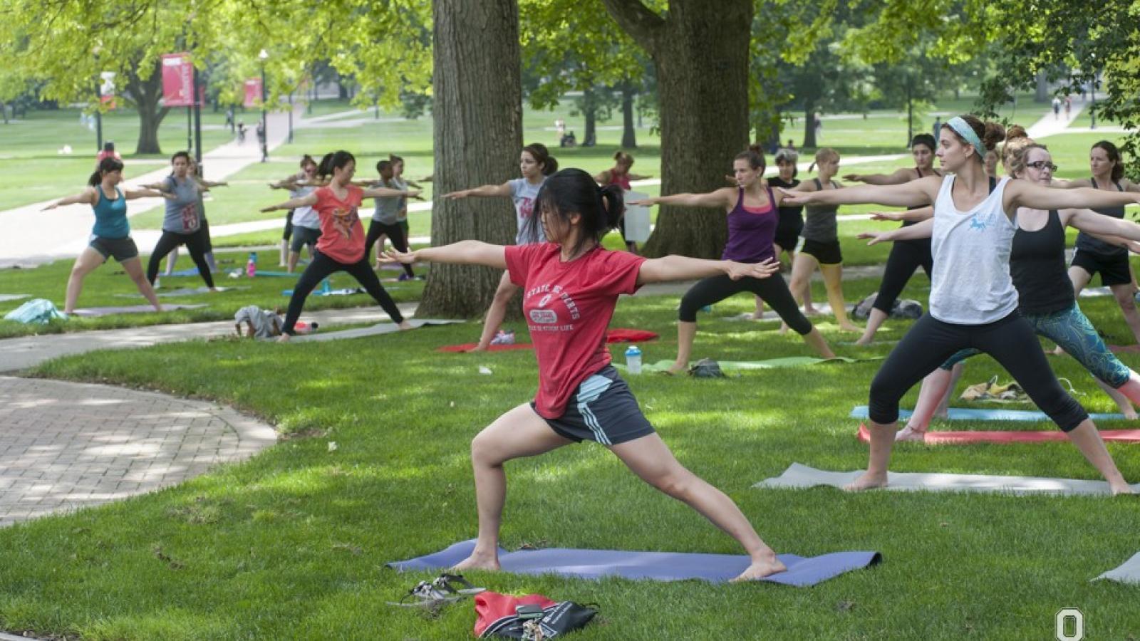 Group doing yoga on the oval